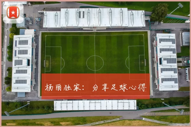 杨丽独家：分享足球心得