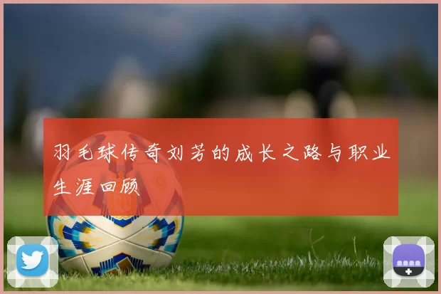 羽毛球传奇刘芳的成长之路与职业生涯回顾