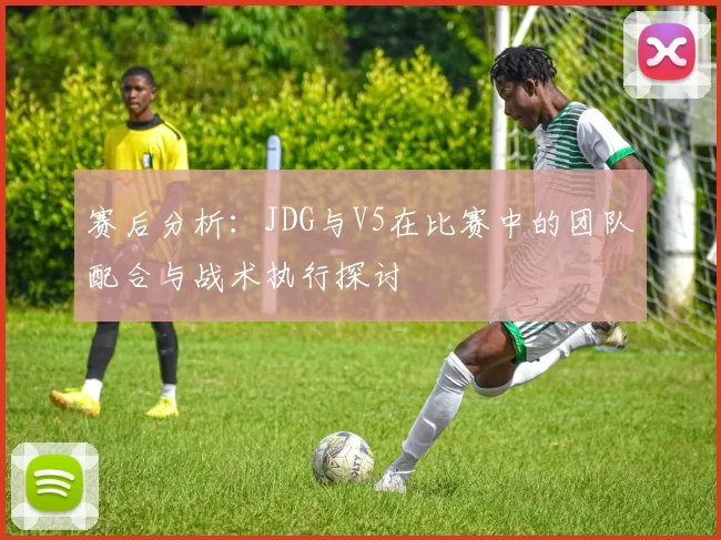 赛后分析：JDG与V5在比赛中的团队配合与战术执行探讨