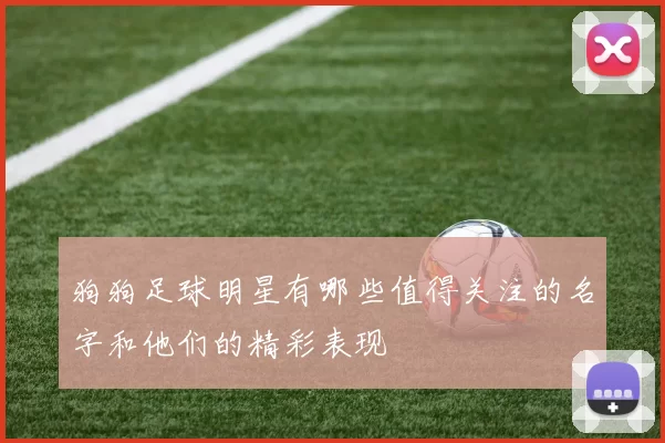 狗狗足球明星有哪些值得关注的名字和他们的精彩表现