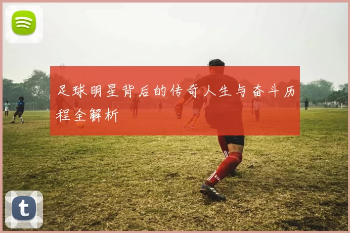 足球明星背后的传奇人生与奋斗历程全解析