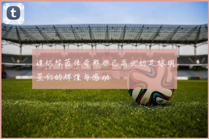 追忆绿茵传奇那些已离世的足球明星们的辉煌与感动