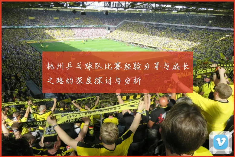 杭州乒乓球队比赛经验分享与成长之路的深度探讨与分析