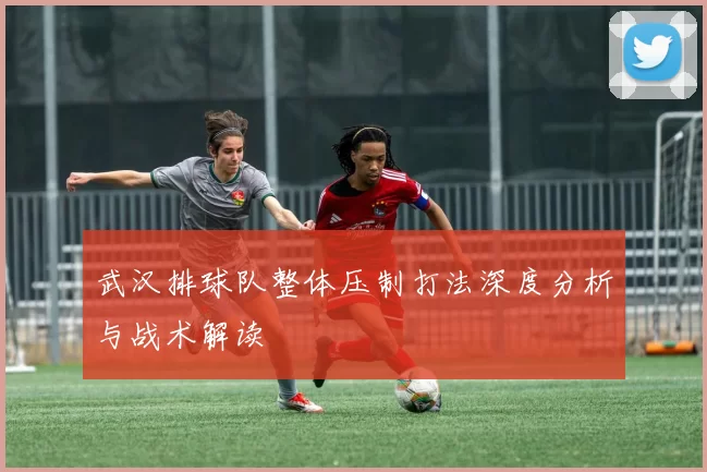 武汉排球队整体压制打法深度分析与战术解读