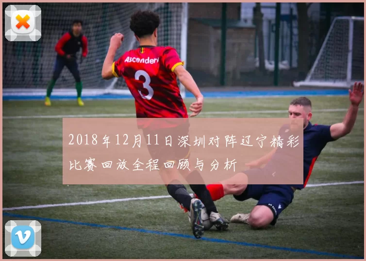 2018年12月11日深圳对阵辽宁精彩比赛回放全程回顾与分析